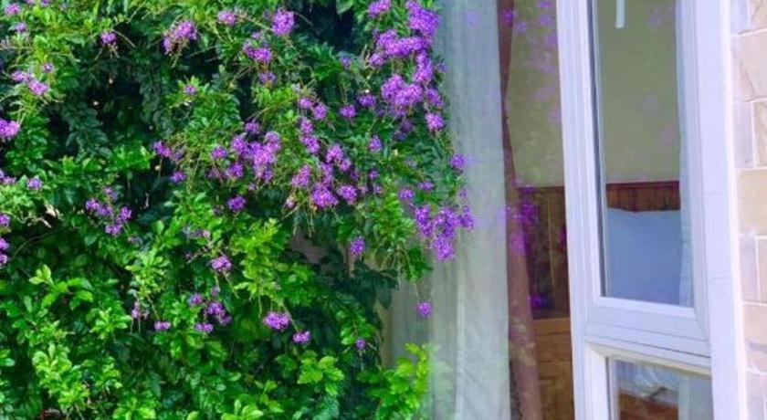 La Roza Dalat Boutique Hotel מראה חיצוני תמונה