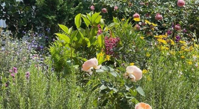 La Roza Dalat Boutique Hotel מראה חיצוני תמונה
