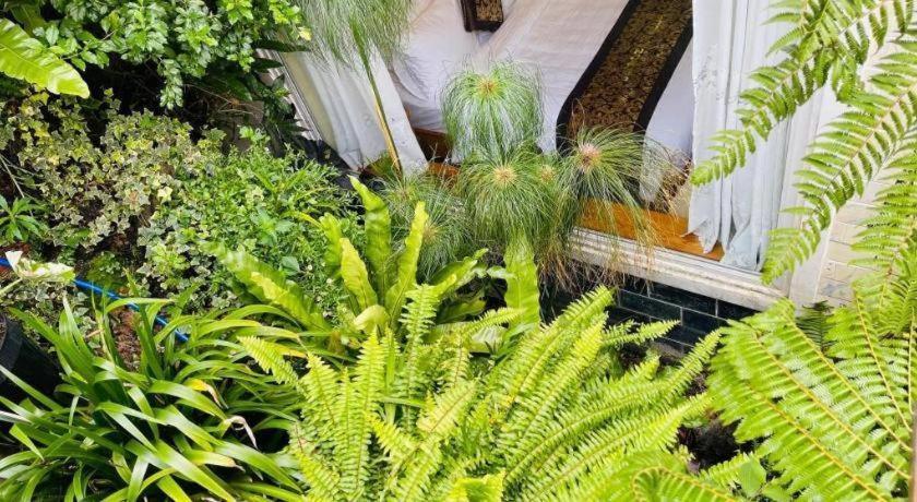 La Roza Dalat Boutique Hotel מראה חיצוני תמונה